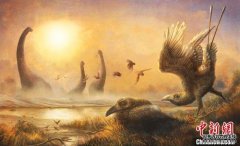国际最新研究：一种古代鸟类因巨喙改变演化记录