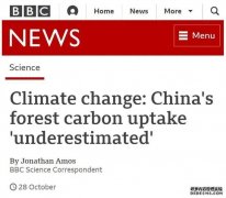 BBC：中国植树造林的作用“被低估了”