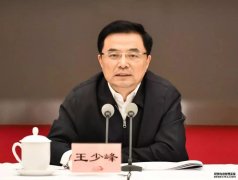 湖南省委常委、组织部部长王少峰，已任人社部副部长