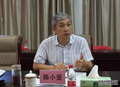 三亚市委原常委、政法委原书记陈小亚，被捕