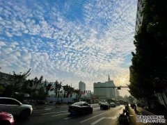 郑州天空现壮观鱼鳞云 今晚起再陷暴雨天