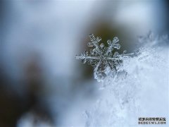 中央气象台升级暴雪预警为黄色：今明两天将是雨雪最强时段